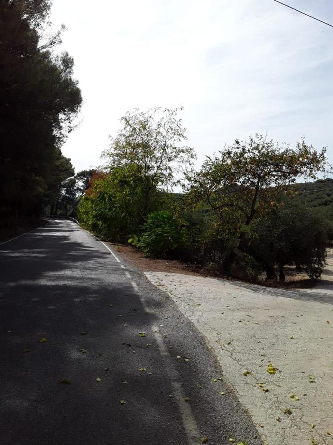 Hacienda La Buena Vida En Casita Almendas La Carrera de la Viña