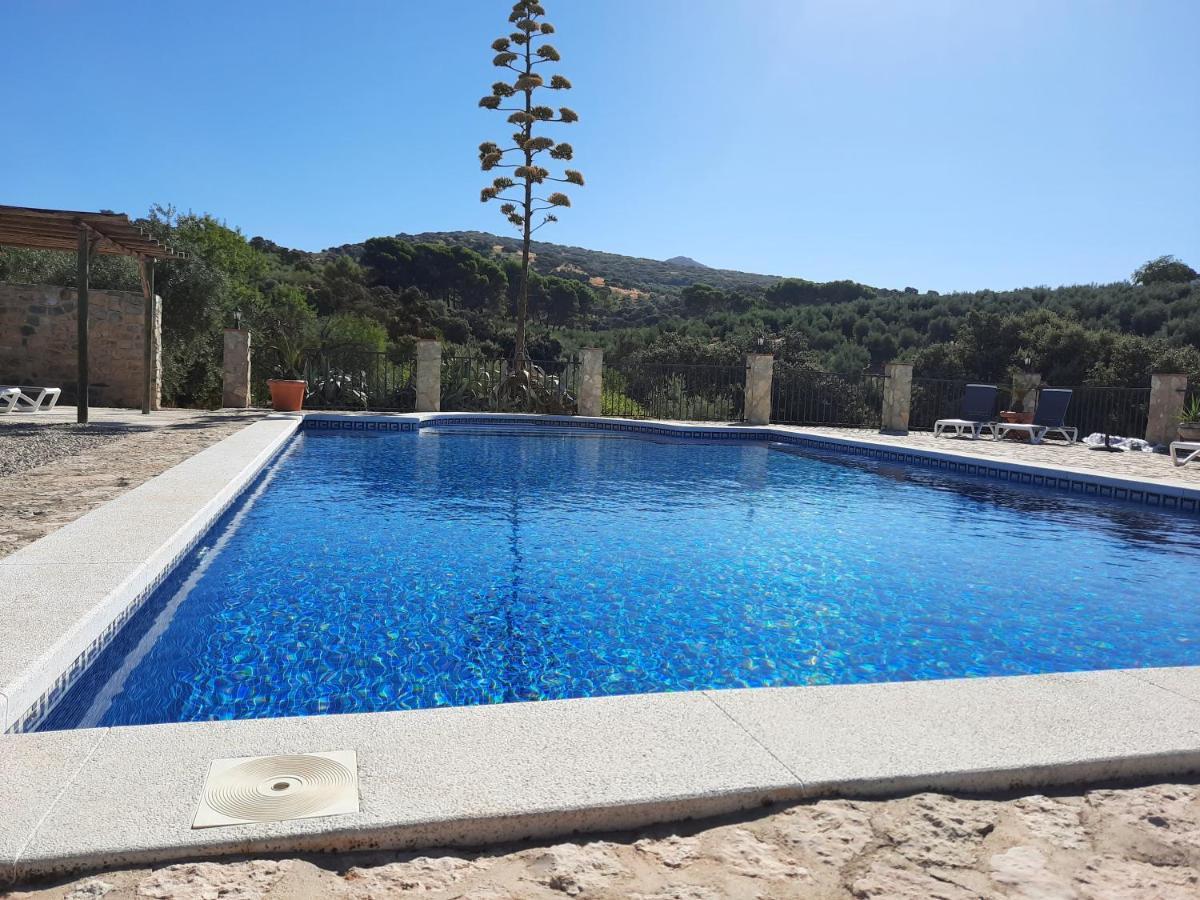 Hacienda La Buena Vida En Casita Almendas Apartment